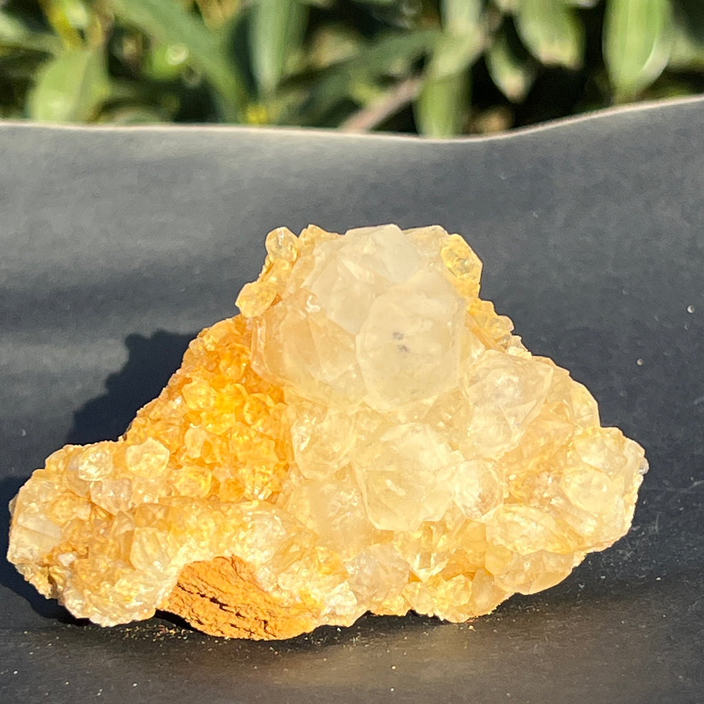 Cluster cuart lamaie Zambia, golden healer model 47, pietre semipretioase - druzy.ro 9 