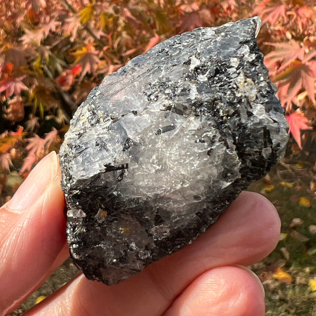 Turmalina neagra bruta cu insertii cuart Africa de Sud model 3, druzy.ro, cristale 3