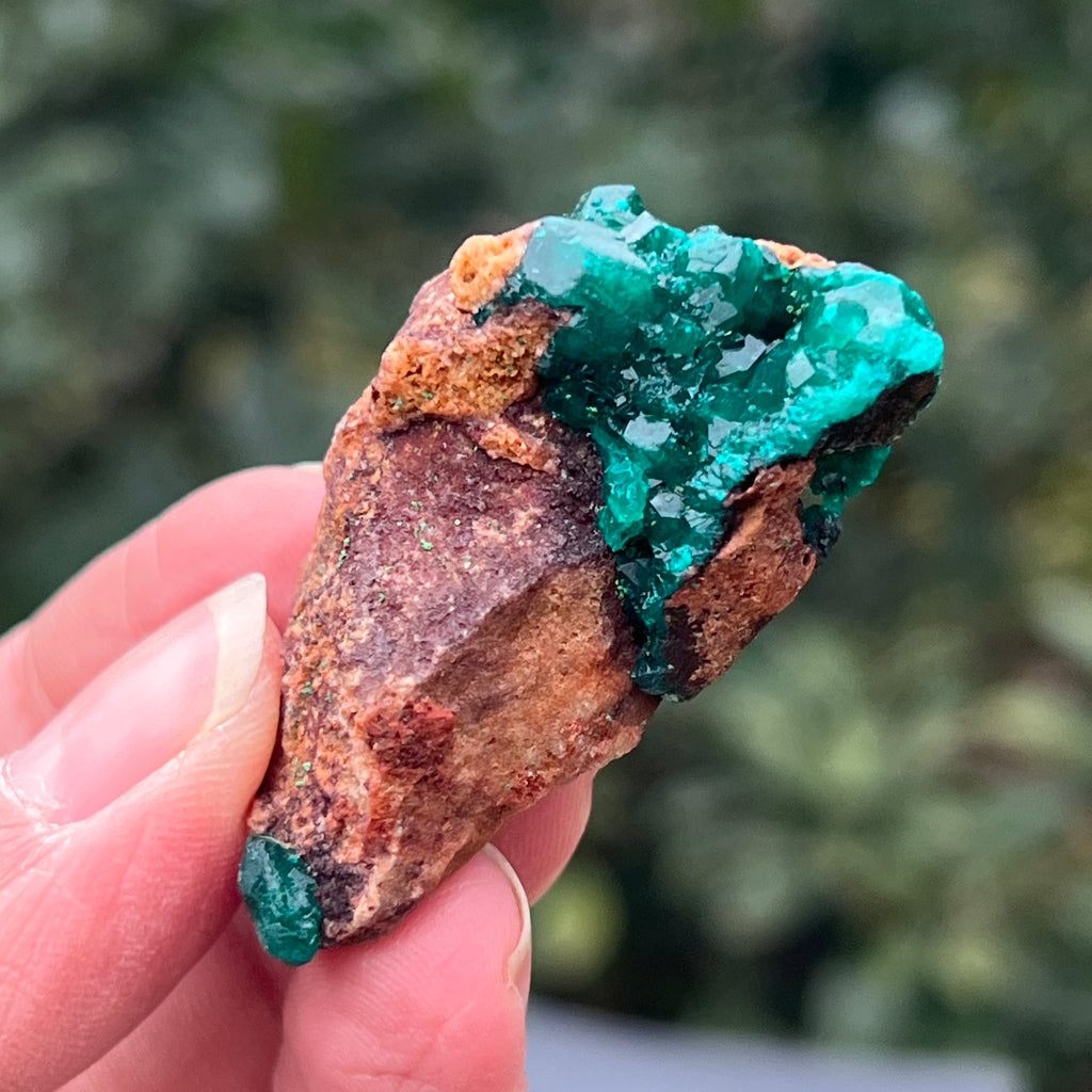 Dioptaz cluster din Congo model 23, pietre semipretioase - druzy.ro 1 