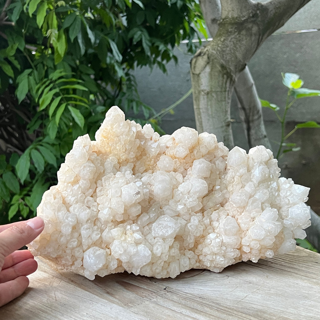 Specimen cuart fantoma, cuart ananas din Madagascar model XL2, pietre semipretioase - druzy.ro 1 