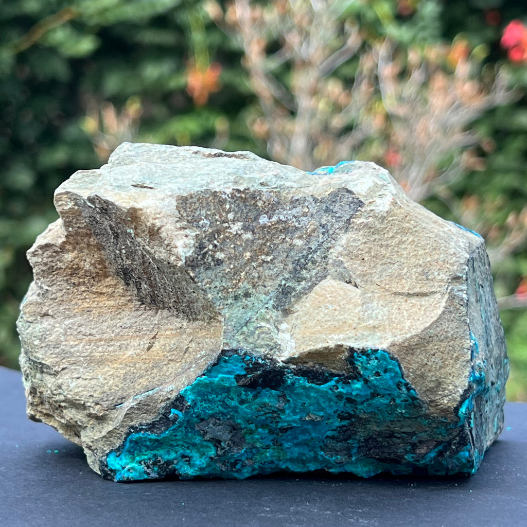 Cluster crisocola piatra bruta m1, druzy.ro, cristale 3