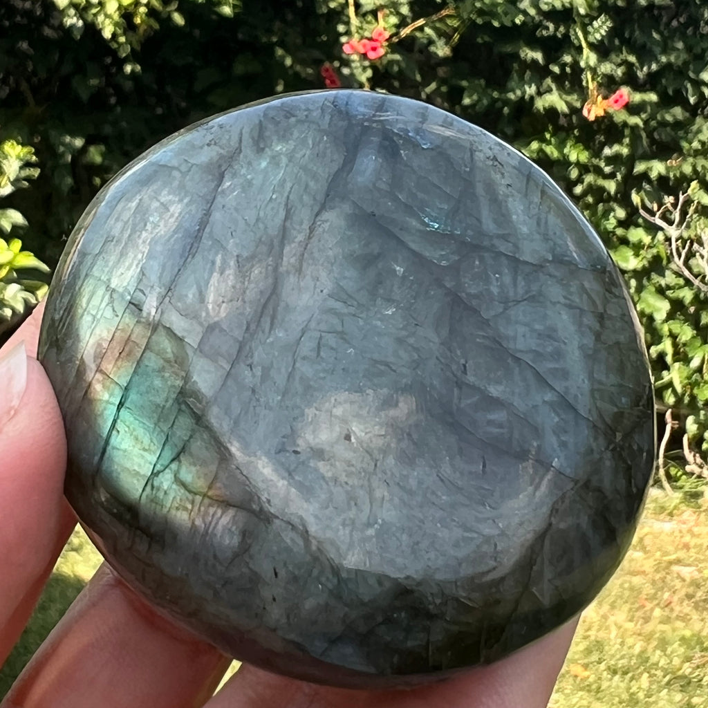 Labradorit palm stone m11, druzy.ro, cristale 2