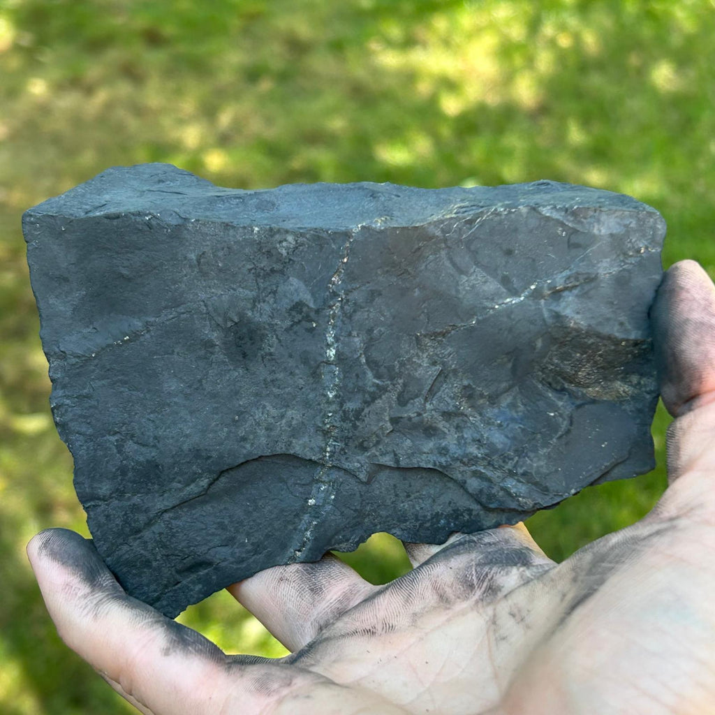Shungit piatra bruta XXL model 9, pietre semipretioase - druzy.ro 3 