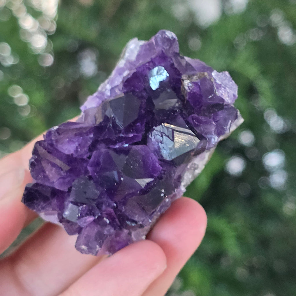 Black Friday - Reduceri -  Promotie