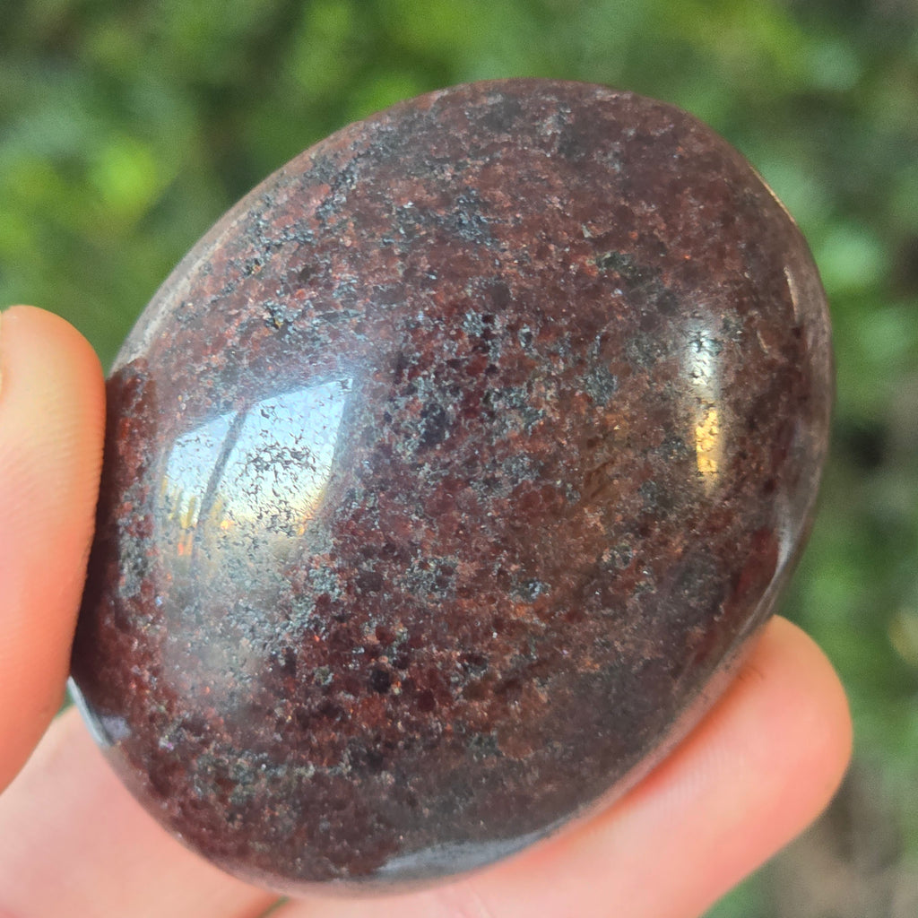 Black Friday - Reduceri -  Promotie