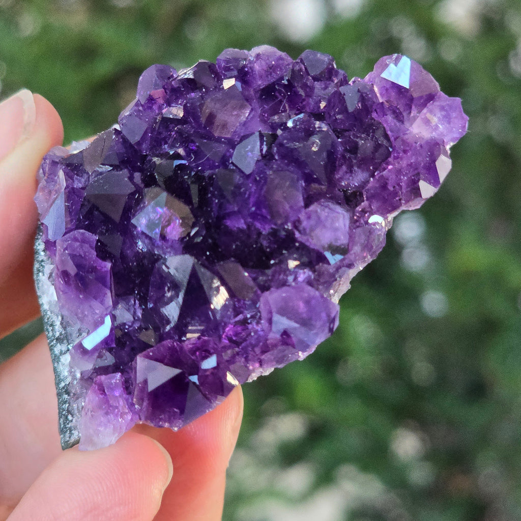 Black Friday - Reduceri -  Promotie