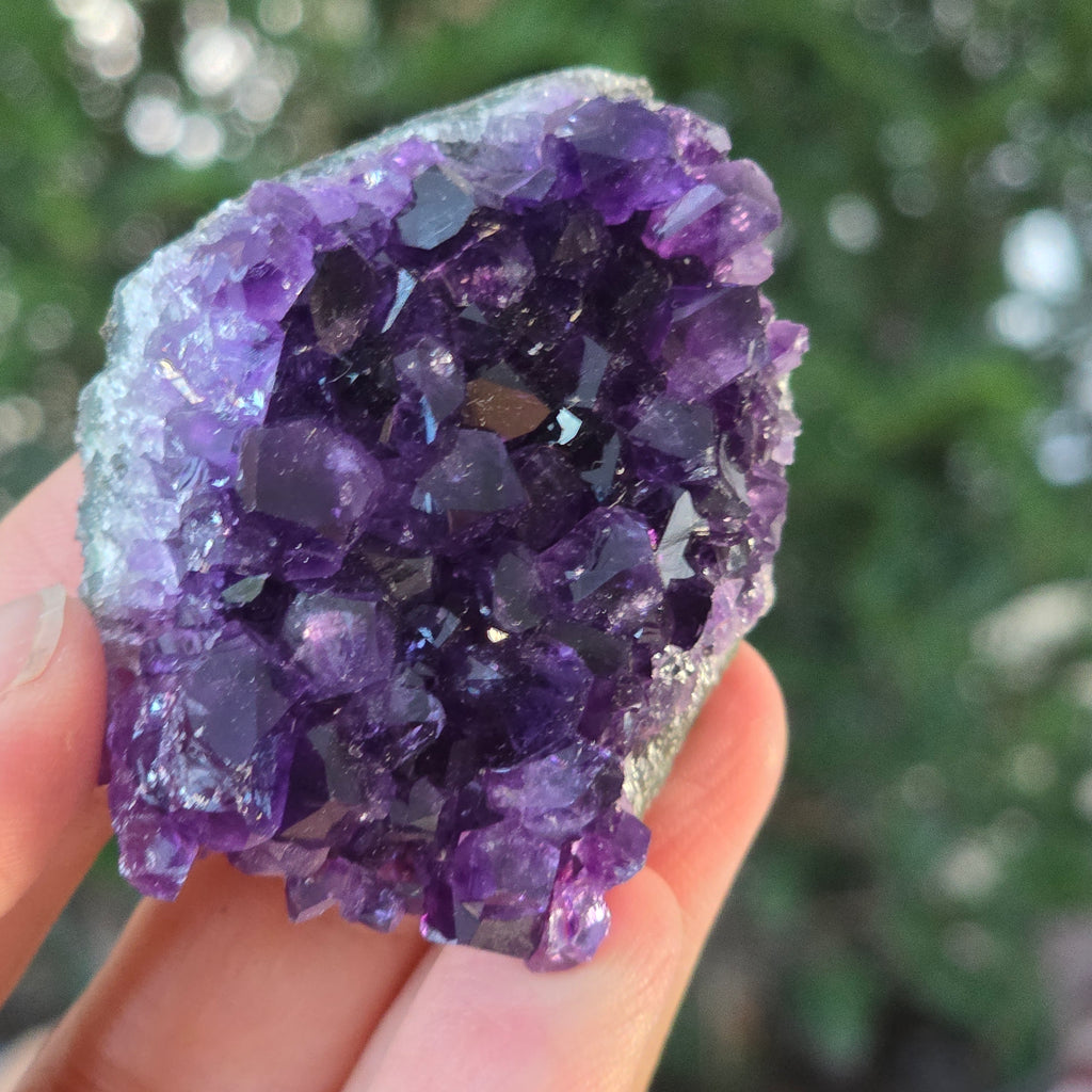 Black Friday - Reduceri -  Promotie