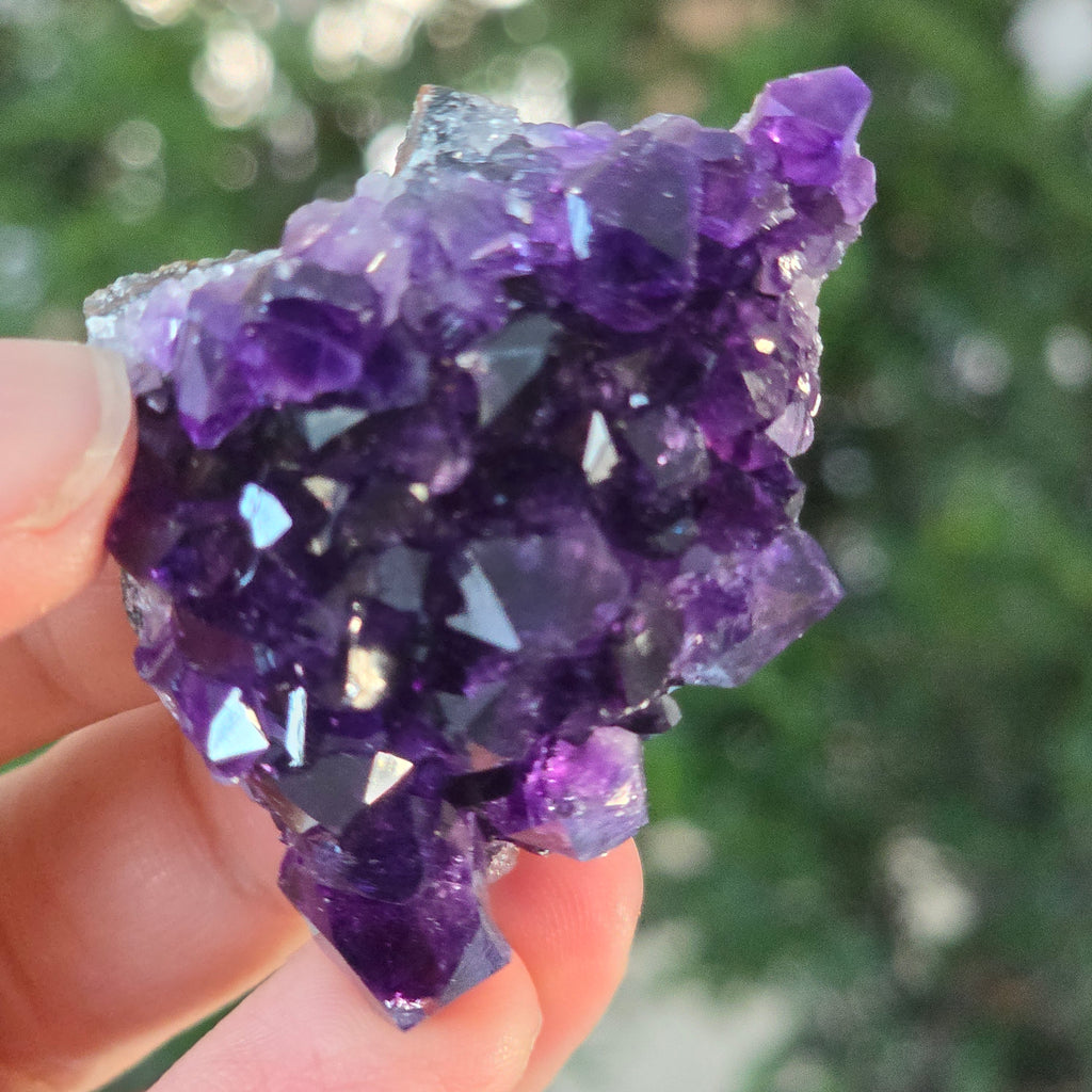 Black Friday - Reduceri -  Promotie