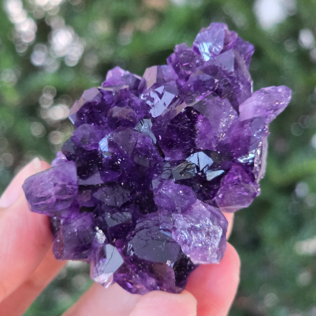 Black Friday - Reduceri -  Promotie