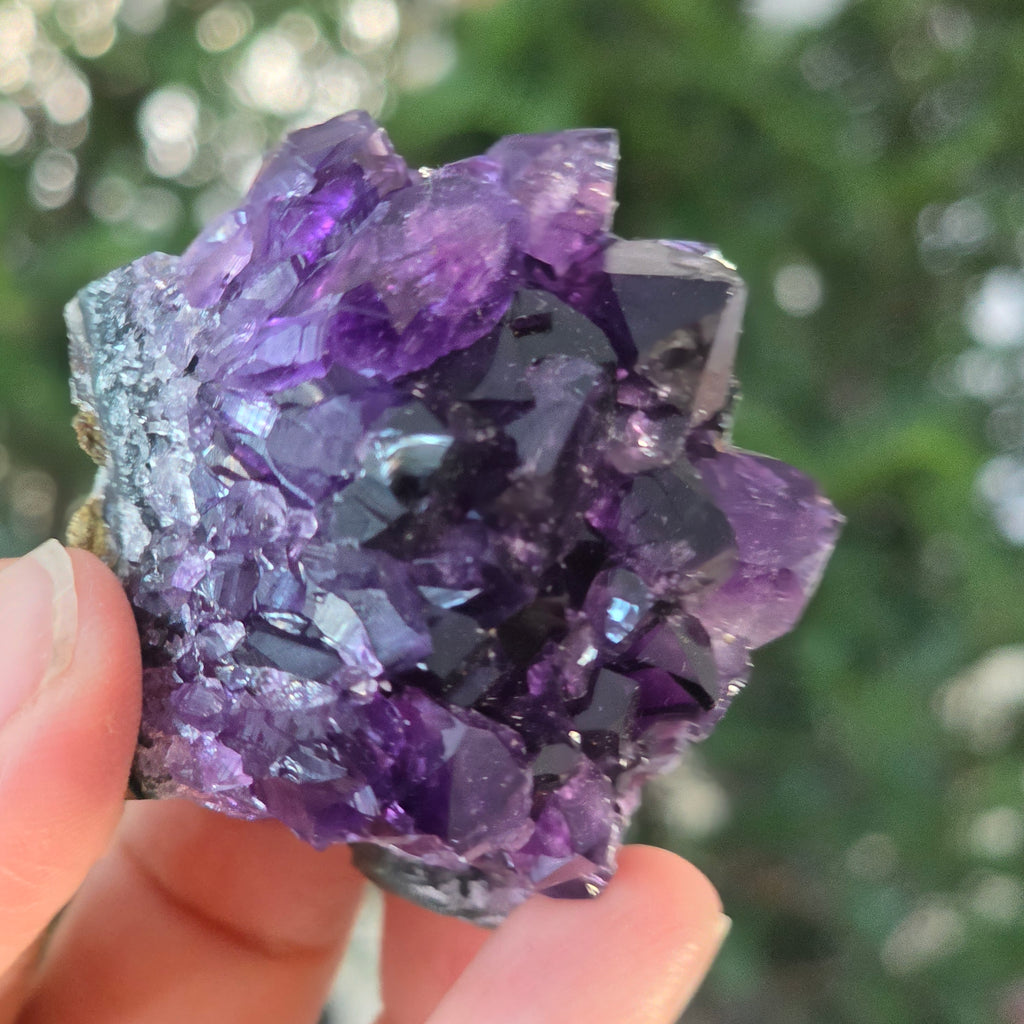 Black Friday - Reduceri -  Promotie