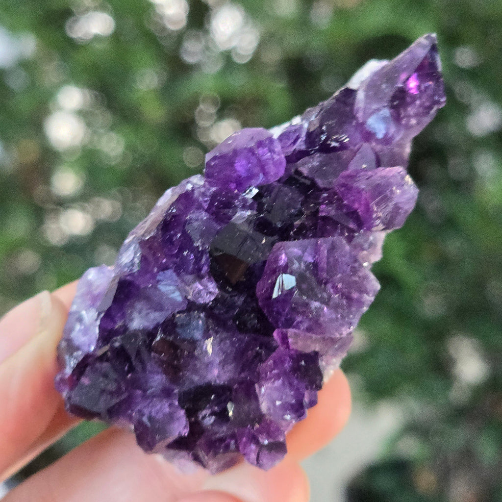 Black Friday - Reduceri -  Promotie