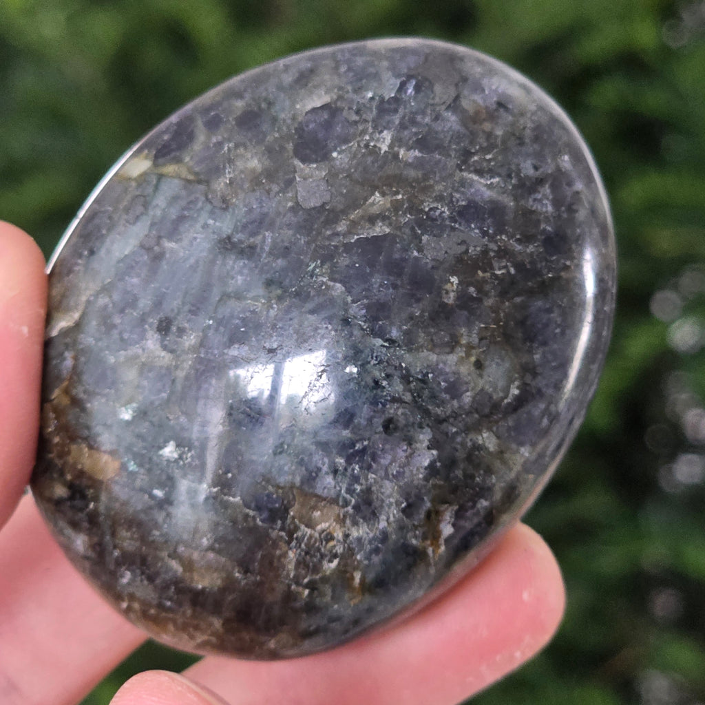 Palmstone Iolit (safir de apa) din Madagascar model 2, pietre semipretioase - druzy.ro 3 
