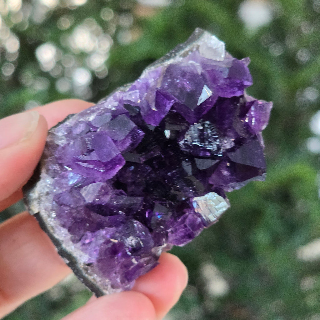 Black Friday - Reduceri -  Promotie