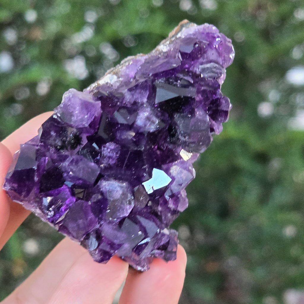 Black Friday - Reduceri -  Promotie