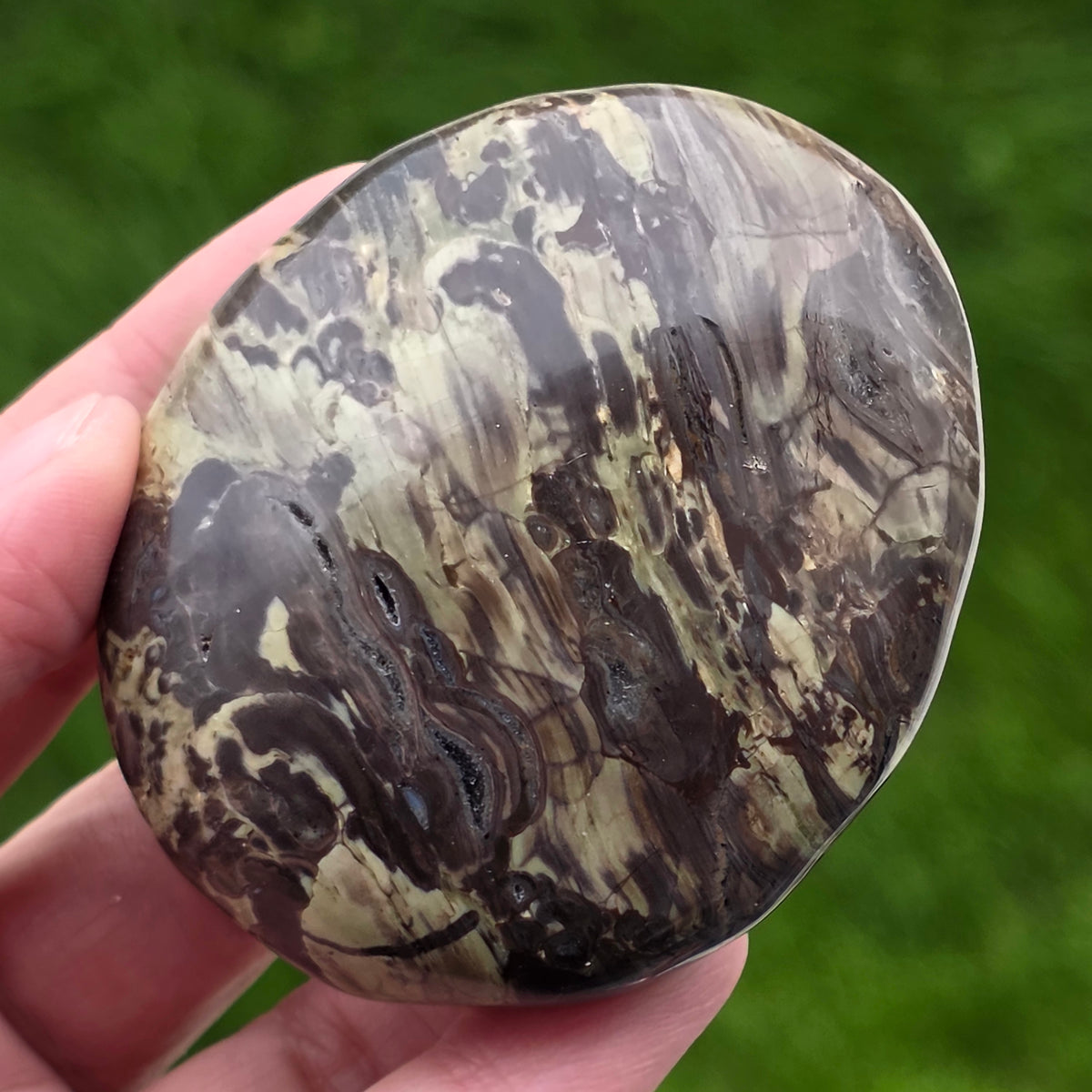 Palmstone Mountain Riolit | Model 4 – DRUZY