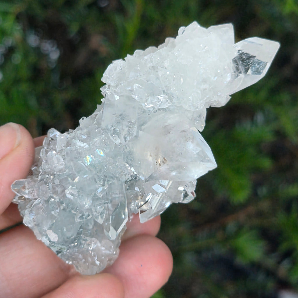 Black Friday - Reduceri -  Promotie