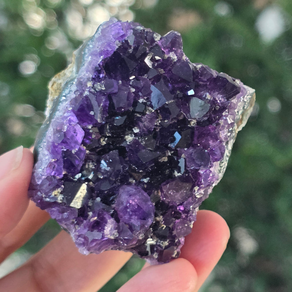 Black Friday - Reduceri -  Promotie