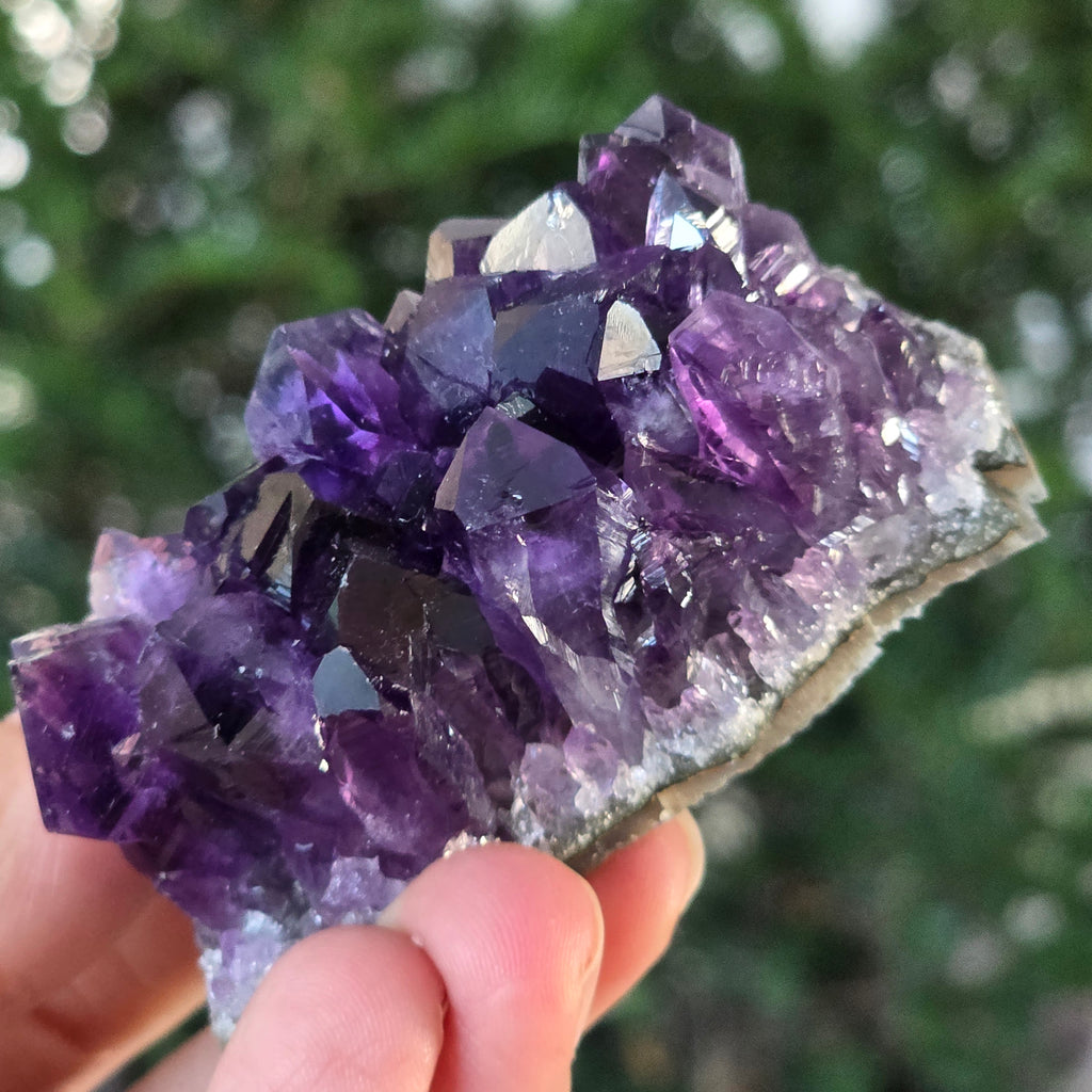 Black Friday - Reduceri -  Promotie